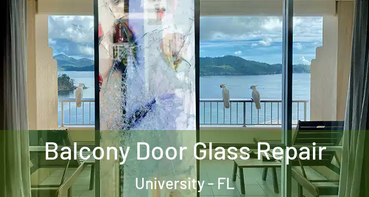  Balcony Door Glass Repair University - FL