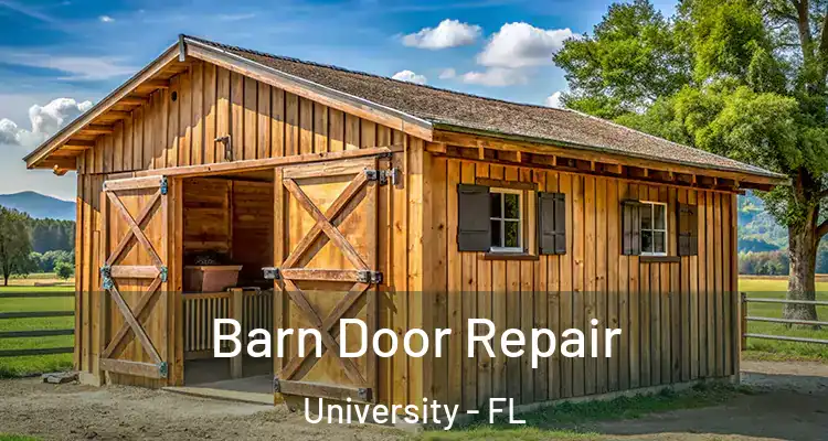 Barn Door Repair University - FL