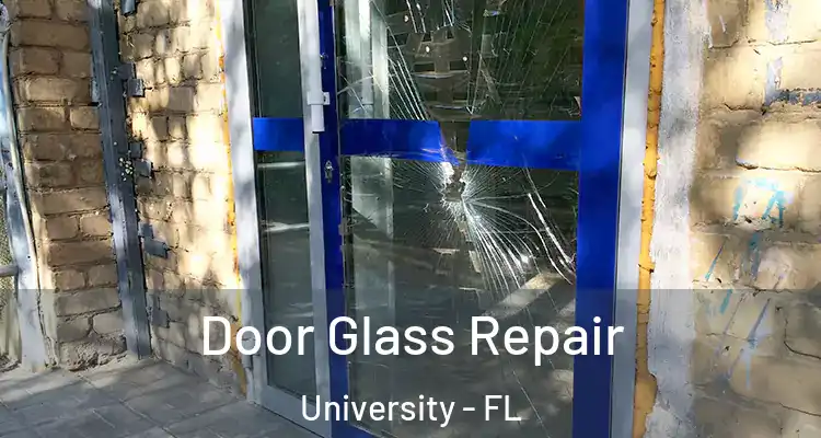  Door Glass Repair University - FL