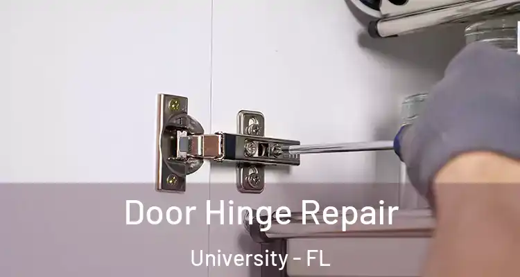  Door Hinge Repair University - FL