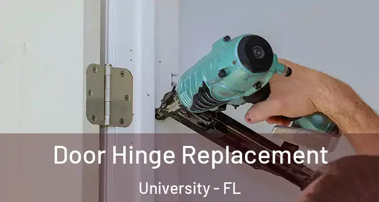  Door Hinge Replacement University - FL