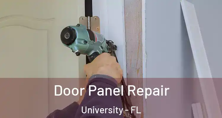  Door Panel Repair University - FL