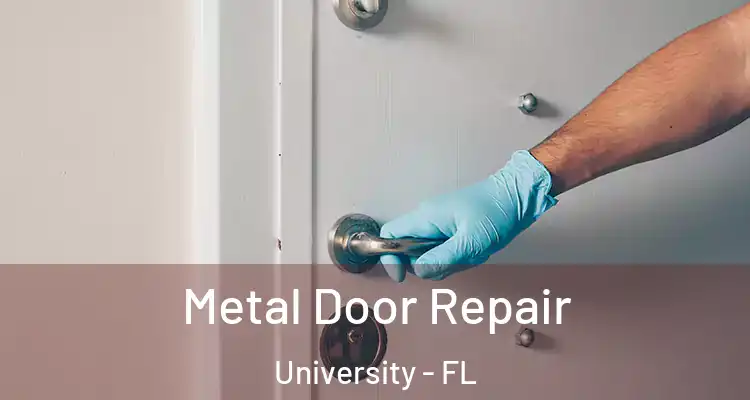  Metal Door Repair University - FL