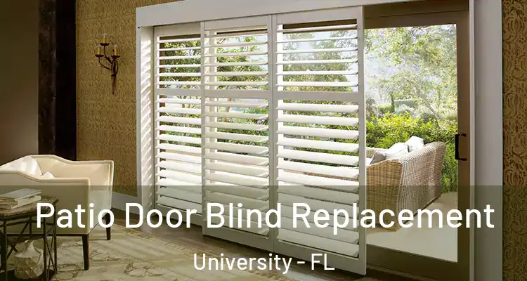  Patio Door Blind Replacement University - FL