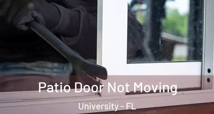  Patio Door Not Moving University - FL