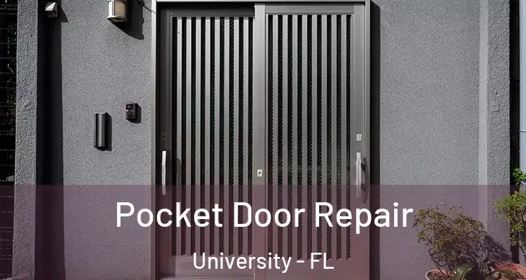  Pocket Door Repair University - FL