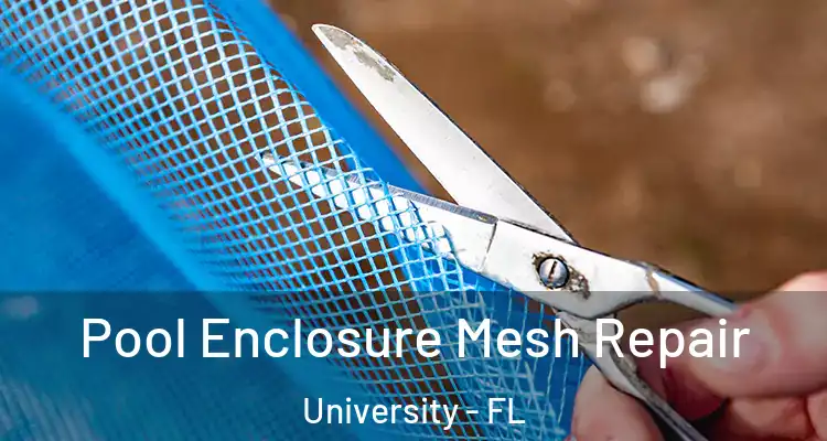  Pool Enclosure Mesh Repair University - FL