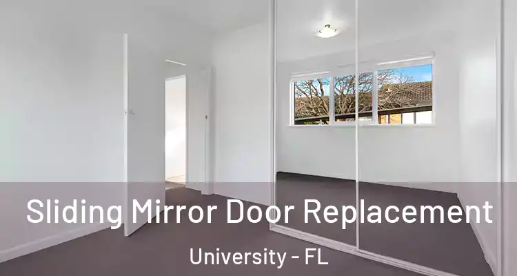  Sliding Mirror Door Replacement University - FL