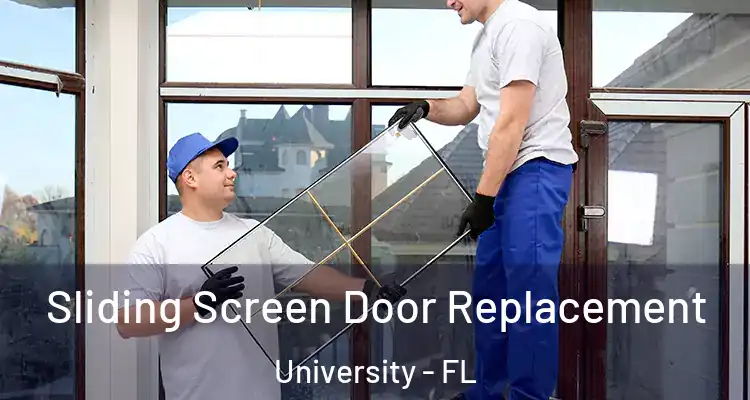  Sliding Screen Door Replacement University - FL