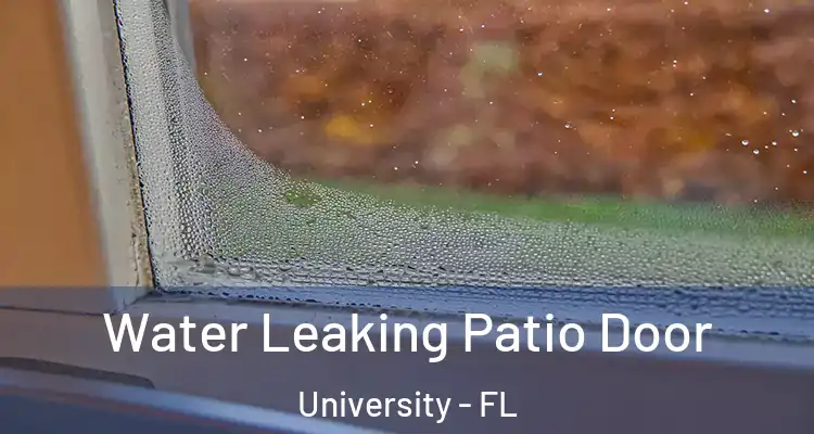  Water Leaking Patio Door University - FL