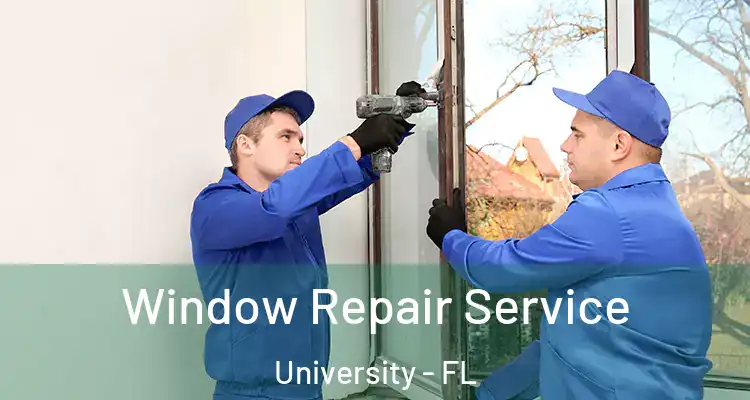  Window Repair Service University - FL
